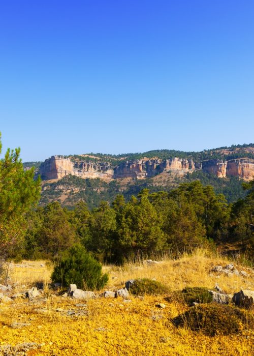 paesaggio-di-montagne
